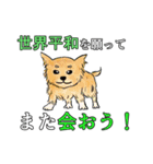 犬と世界平和を願うスタンプ（個別スタンプ：35）