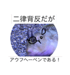 魚の本心聞いてあげて（個別スタンプ：23）