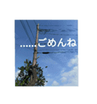 大人のケジメ！責任感ただよう謝罪スタンプ（個別スタンプ：6）