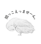 動物たちの楽しい一言（個別スタンプ：10）