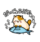 ぼて猫（個別スタンプ：31）