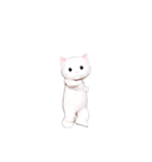 白猫ダンシング（世界）（個別スタンプ：2）