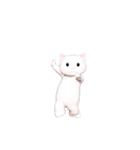 白猫ダンシング（世界）（個別スタンプ：5）