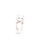 白猫ダンシング（世界）（個別スタンプ：18）