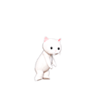 白猫ダンシング（世界）（個別スタンプ：21）
