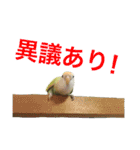 てんぺろん@インコ（個別スタンプ：15）