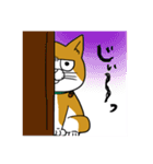 ねこのぽぽ（個別スタンプ：24）