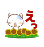 夏シリーズ⑥白ねこの夏（個別スタンプ：15）