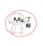 シーズー犬そら太（個別スタンプ：4）