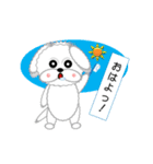 シーズー犬そら太（個別スタンプ：6）