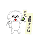 シーズー犬そら太（個別スタンプ：9）