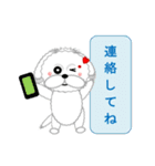 シーズー犬そら太（個別スタンプ：10）