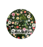 身近な花たち〈the flower  series〉（個別スタンプ：12）