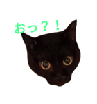 ゆる黒猫クロ君（個別スタンプ：4）