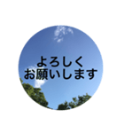 シンプル大人スタンプ 空（個別スタンプ：13）