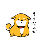 柴犬みなみちゃん（個別スタンプ：7）