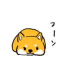 柴犬みなみちゃん（個別スタンプ：39）