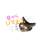 ねこねこ☆（個別スタンプ：13）