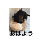 犬松崎（個別スタンプ：7）