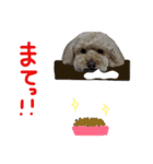 犬のうーたん☆（個別スタンプ：5）