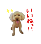 犬のうーたん☆（個別スタンプ：20）