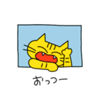 ねこの茶太郎くん（個別スタンプ：1）