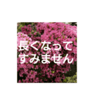 読みやすい白い文字。敬語、シンプル（個別スタンプ：3）