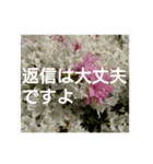 読みやすい白い文字。敬語、シンプル（個別スタンプ：4）