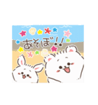 夏♪こぐまのしろっぷ（個別スタンプ：1）