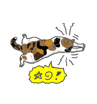 ねこなに？（個別スタンプ：8）