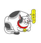 ねこなに？（個別スタンプ：37）