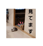 りれろらんつー（個別スタンプ：35）