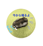 ふくふくふくたろう3.1（個別スタンプ：3）