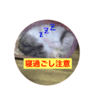 ふくふくふくたろう3.1（個別スタンプ：13）