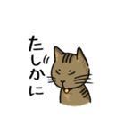 しあわせねこのフック（個別スタンプ：13）