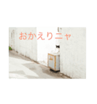 猫島物語（個別スタンプ：12）