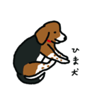ビーグル犬ビッキー（個別スタンプ：24）