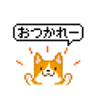 ドット絵コーギーアニメ（個別スタンプ：4）