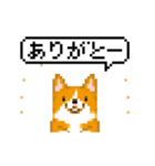 ドット絵コーギーアニメ（個別スタンプ：6）