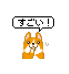 ドット絵コーギーアニメ（個別スタンプ：8）