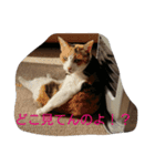 ねこまみれฅ•ω•ฅ（個別スタンプ：8）