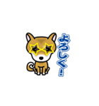 柴犬コロ2（個別スタンプ：4）