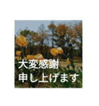 一撃必殺！究極のマナースタンプ（個別スタンプ：4）