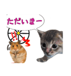 猫で行こう4（個別スタンプ：4）