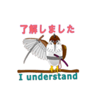 礼儀正しい、すずめ侍（個別スタンプ：6）