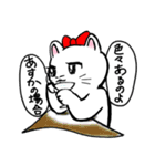 白ねこ【あすかさん】専用スタンプ（個別スタンプ：27）