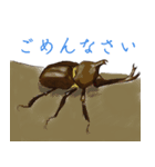 リアルで可愛いカブトムシ（個別スタンプ：3）