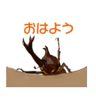 リアルで可愛いカブトムシ（個別スタンプ：7）