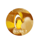 魚のお喋り（個別スタンプ：1）