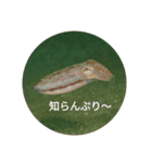 魚のお喋り（個別スタンプ：2）